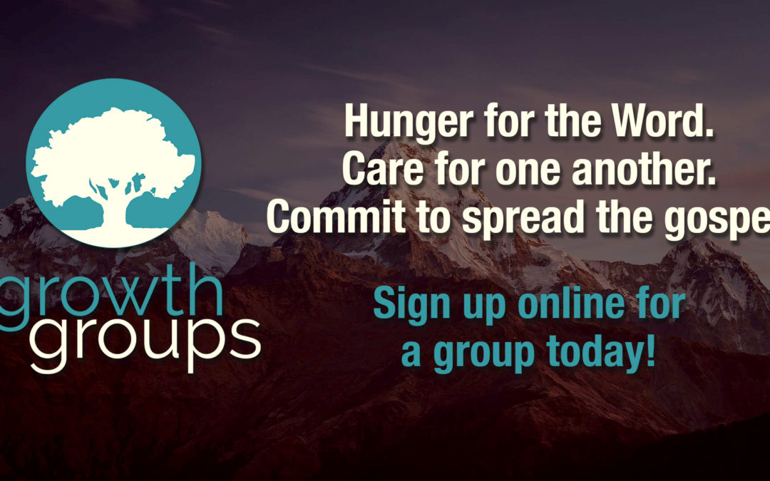 Growth Groups-Small Group Ministry