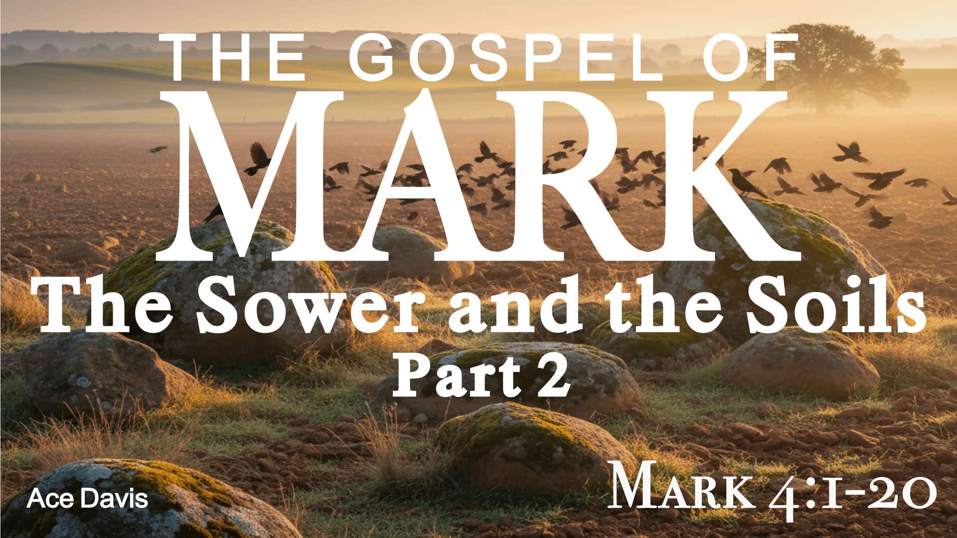 The Sower and the Soils Part 2 - Mark 4:1-20 - Rosedale Bible Church