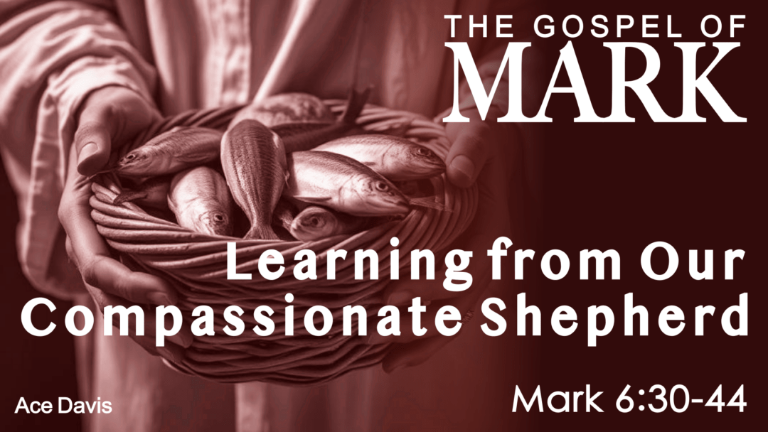 Learning from Our Compassionate Shepherd – Mark 6:30-44